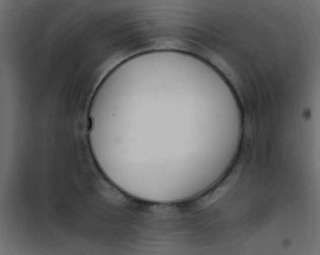 X0000101111089200807171931
