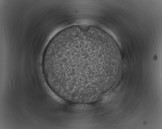 X0000101111091200807171931