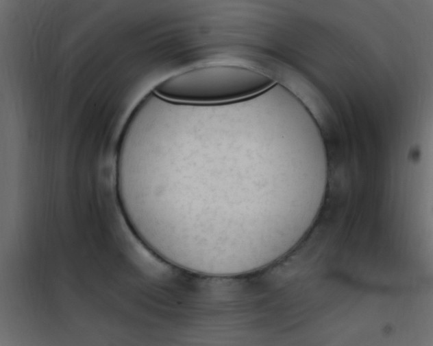 X0000101111092200807171931