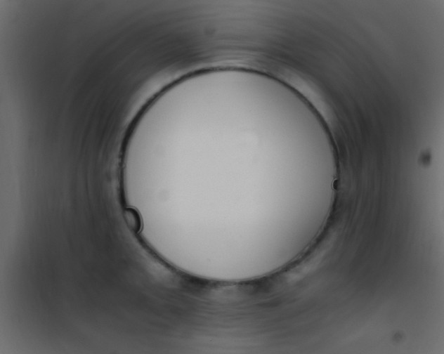 X0000101111093200807171931