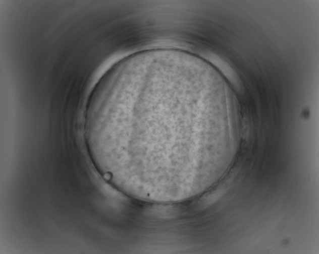 X0000101111094200807171931