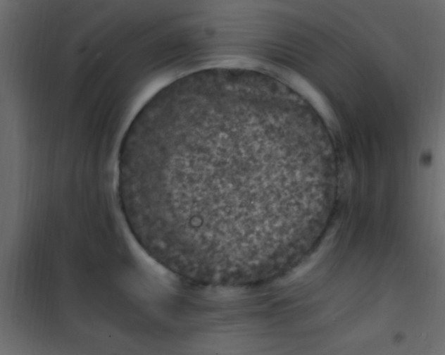 X0000101111095200807171931