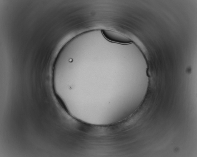 X0000101111096200807171931