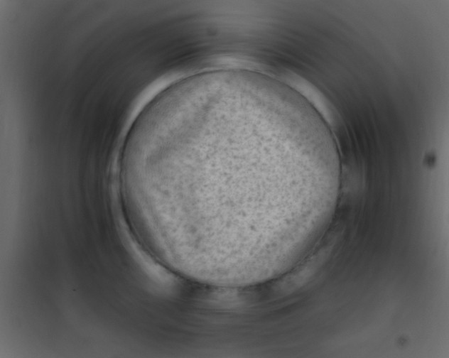 X0000101111098200807171931