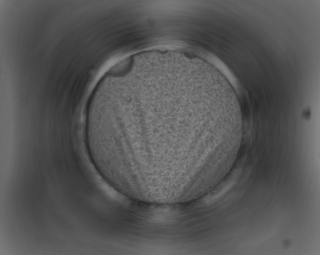 X0000101111099200807171931