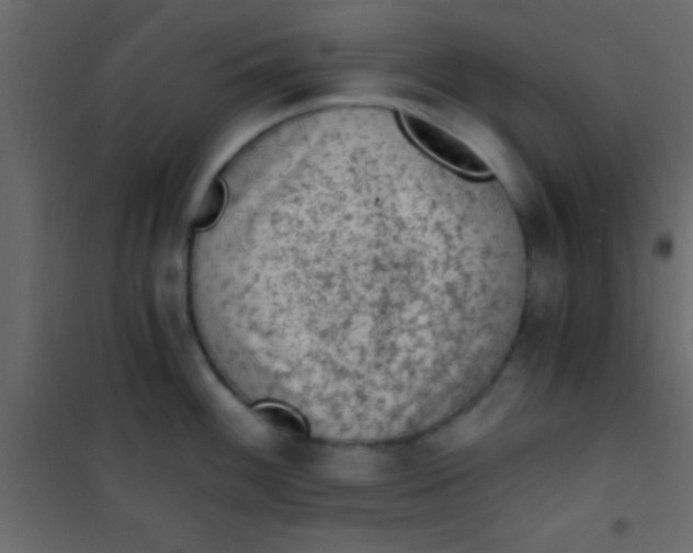 X0000101111100200807171930