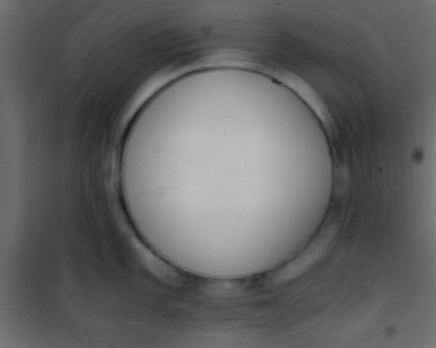 X0000101111101200807171930