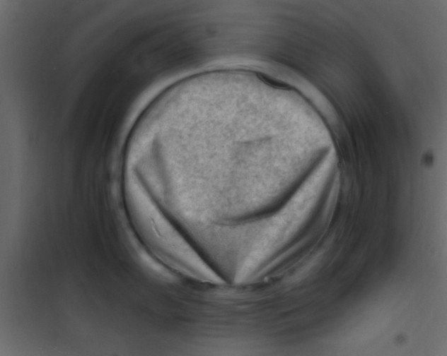 X0000101111102200807171930
