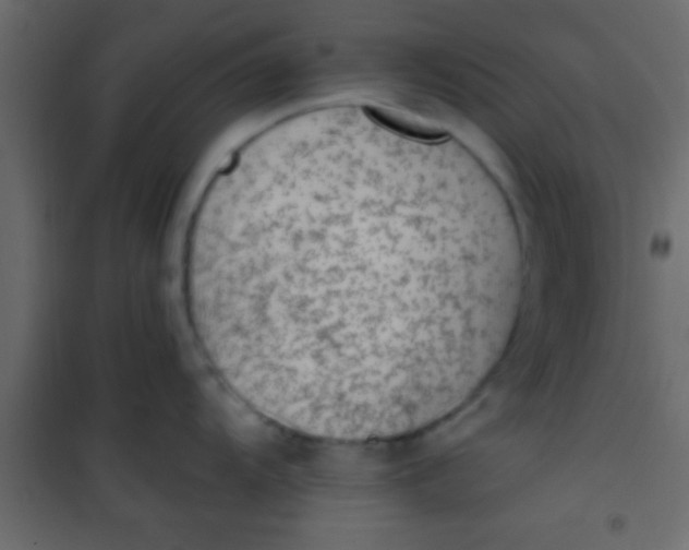 X0000101111104200807171930