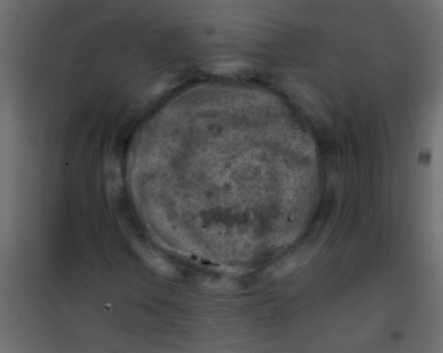 X0000101111106200807171930