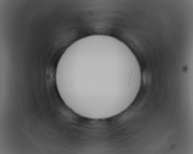 X0000101111107200807171930