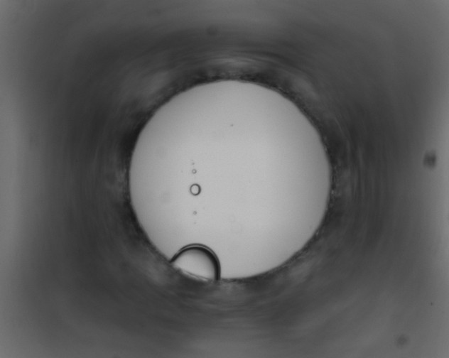X0000101111109200807171930