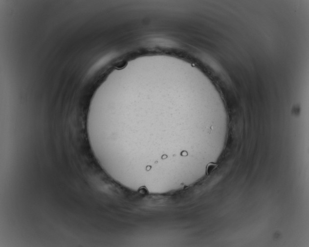 X0000101111112200807171930
