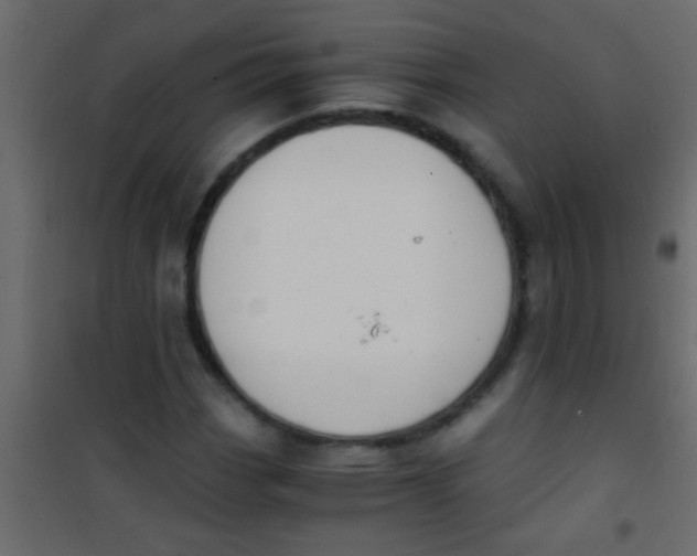 X0000101111113200807171930