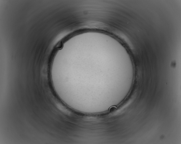 X0000101111114200807171930