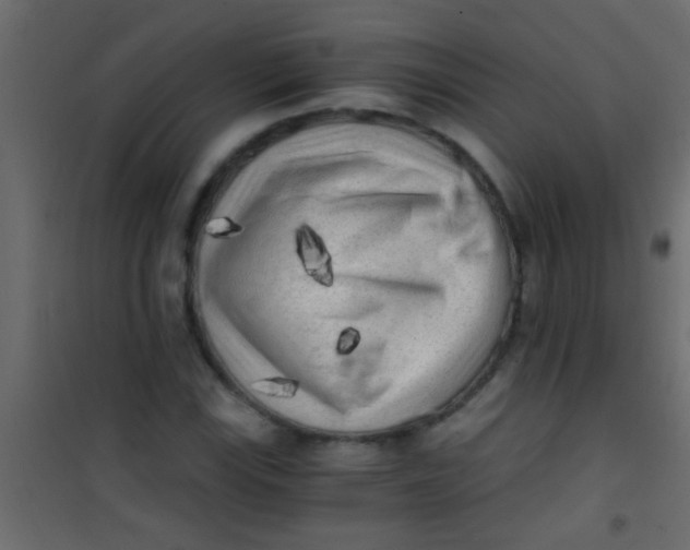 X0000101111115200807171930
