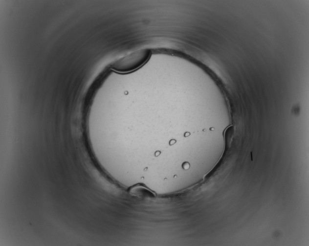 X0000101111116200807171930