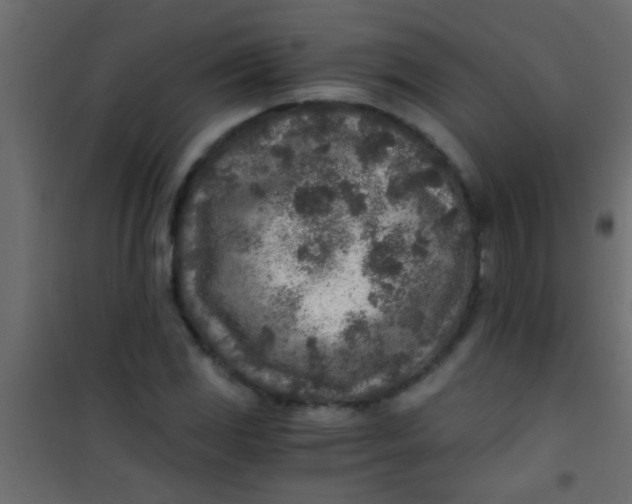X0000101111117200807171930
