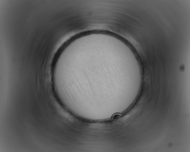 X0000101111118200807171930