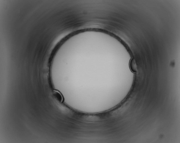 X0000101111119200807171930