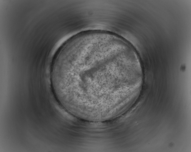 X0000101111120200807171930