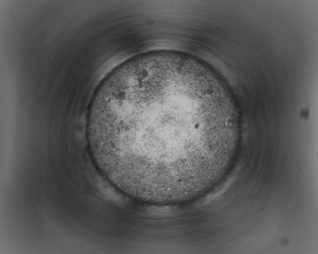 X0000101111121200807171930