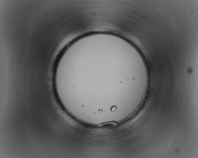 X0000101111122200807171930