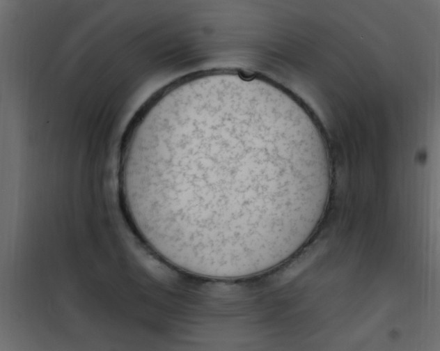 X0000101111124200807171930