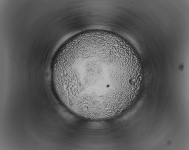 X0000101111125200807171930