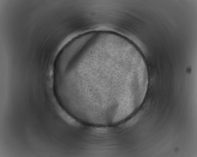X0000101111126200807171930