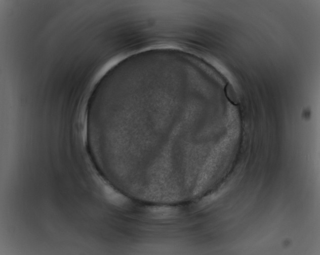 X0000101111127200807171930