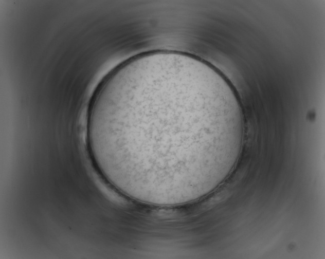 X0000101111128200807171930