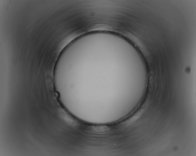 X0000101111129200807171930
