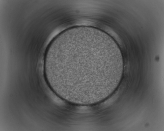 X0000101111130200807171930