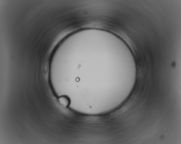 X0000101111131200807171930