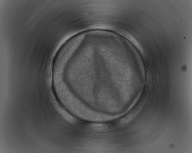 X0000101111132200807171930
