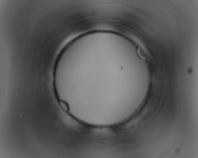 X0000101111133200807171930