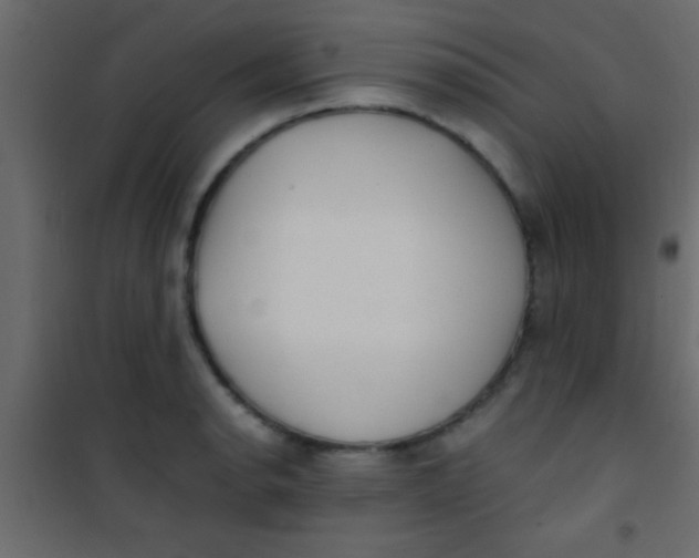 X0000101111134200807171930