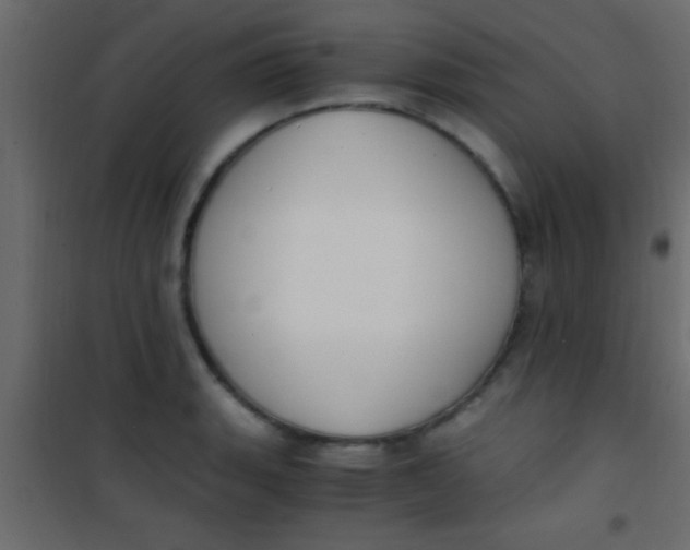 X0000101111135200807171930