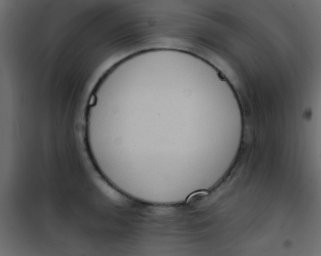 X0000101111136200807171930