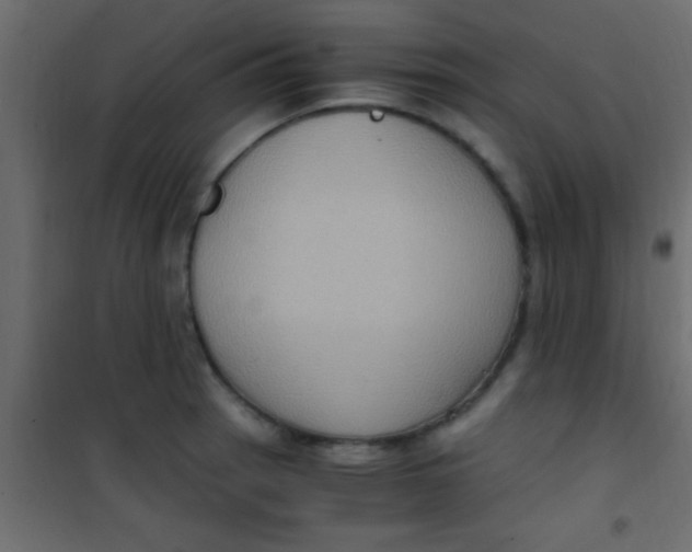 X0000101111137200807171930