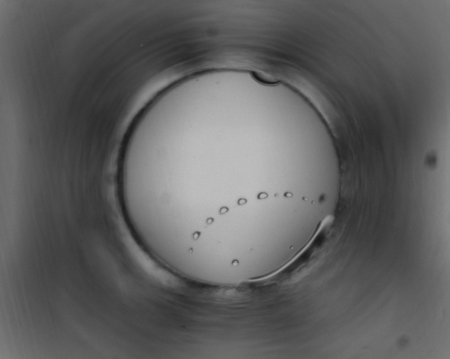 X0000101111139200807171930