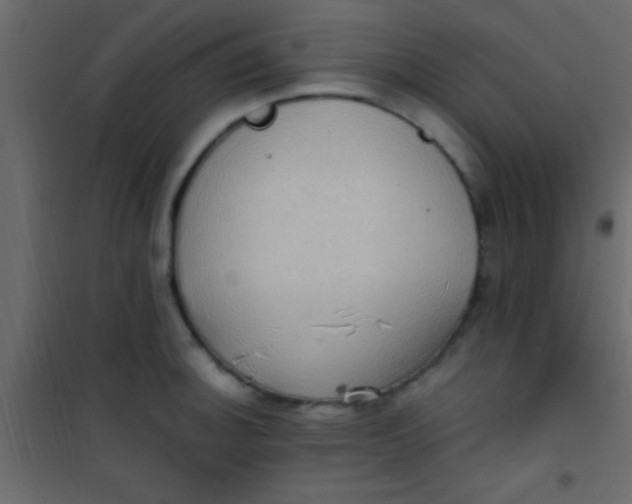 X0000101111140200807171930