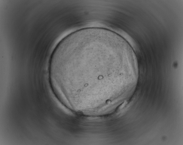 X0000101111142200807171930