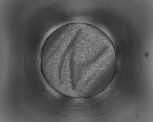 X0000101111144200807171930