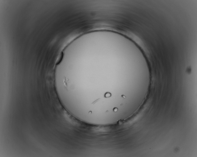 X0000101111145200807171930