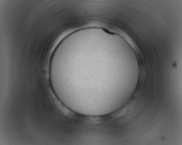 X0000101111148200807171930