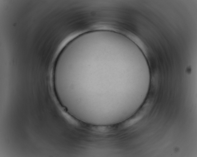 X0000101111149200807171930