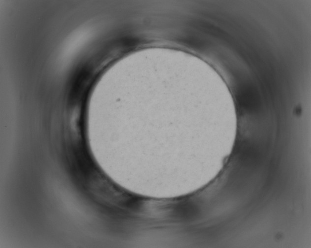 X0000101111150200807171930
