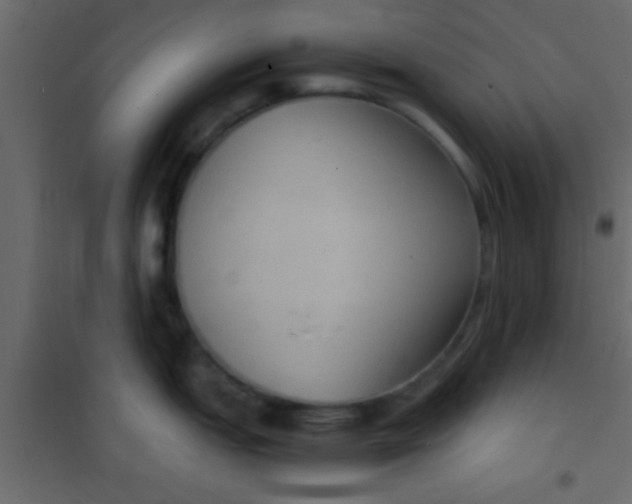 X0000101111151200807171930